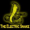 Play The Electric Snake Game