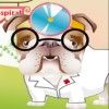Play Dr.Bulldog's Pets Hospital Game