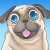 Play Pug the dog Game