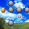 Play Target Shooter Game