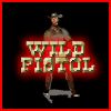 Play Wild Pistol Game